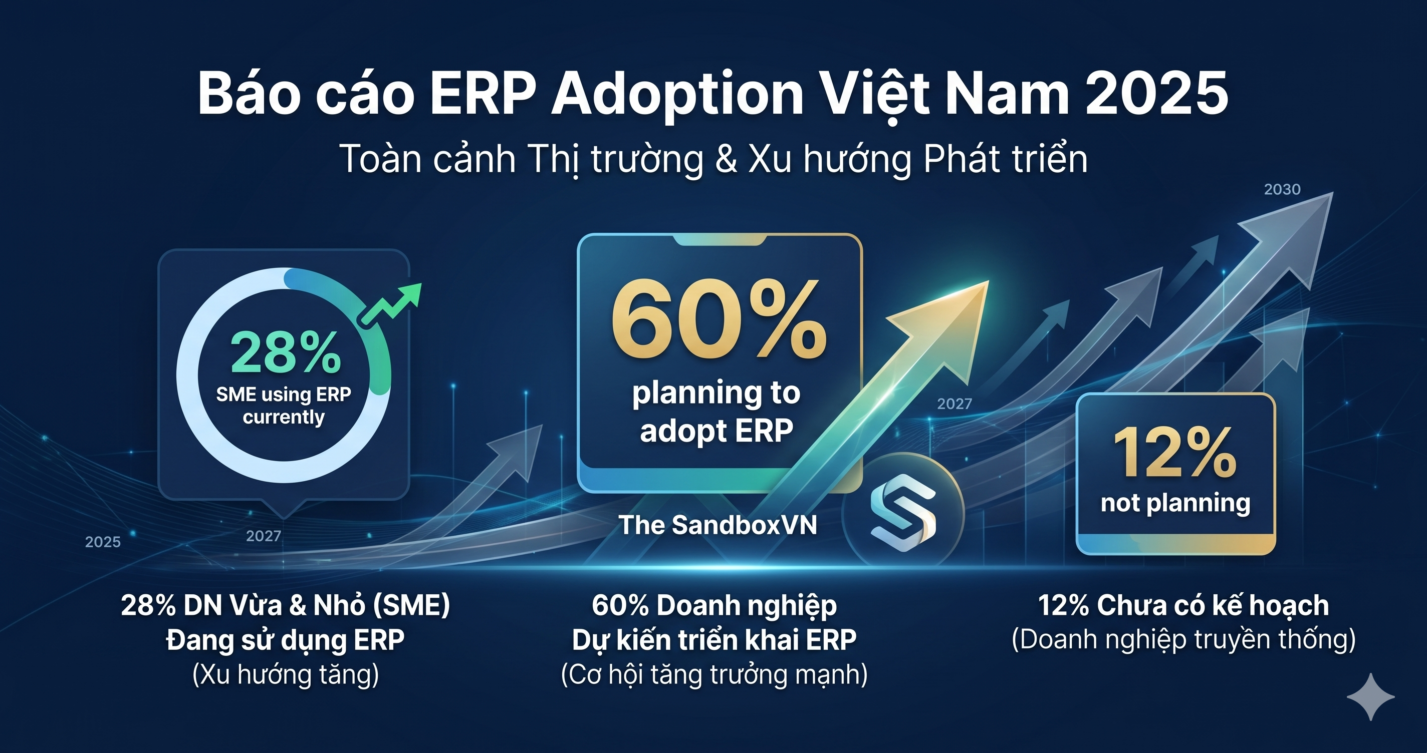 Báo cáo ERP Việt Nam 2025